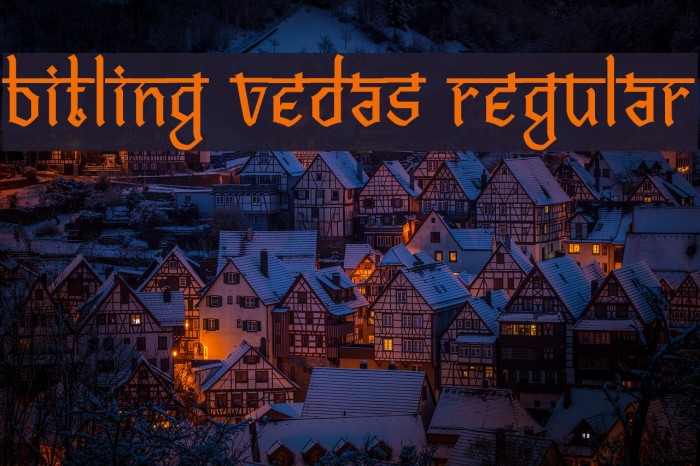 Bitling vedas Regular Example 1