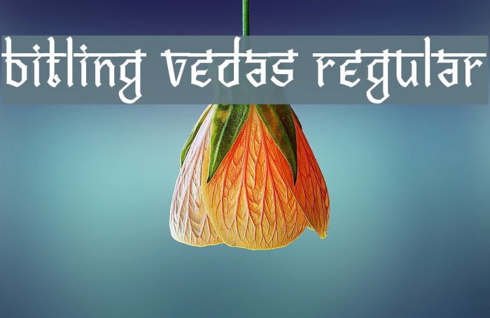 Bitling vedas Regular Example 2