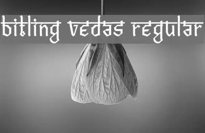 Bitling vedas Regular Font examples