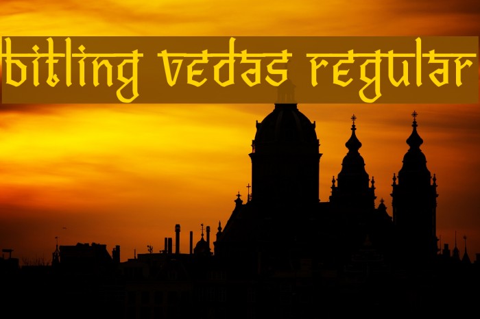 Bitling vedas Regular Example 3