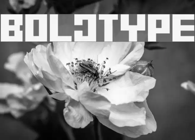 BitmapperOLDTYPE फ़ॉन्ट examples