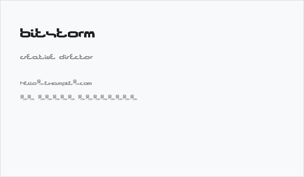 Bitstorm Business Card