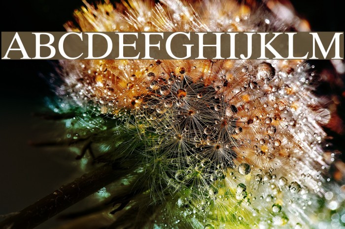 Bitstream CyberBase Example 2