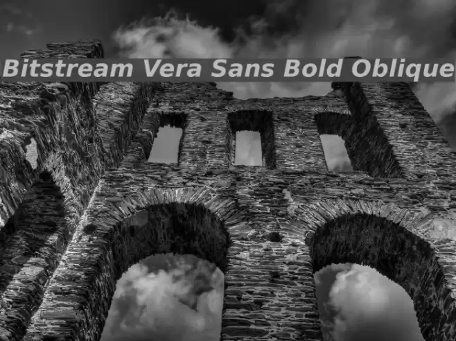 Bitstream Vera Sans Bold Oblique  examples
