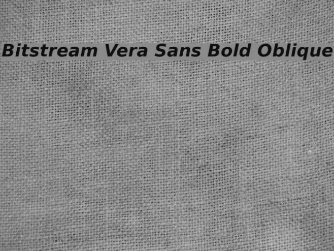 Bitstream Vera Sans Bold Oblique  examples