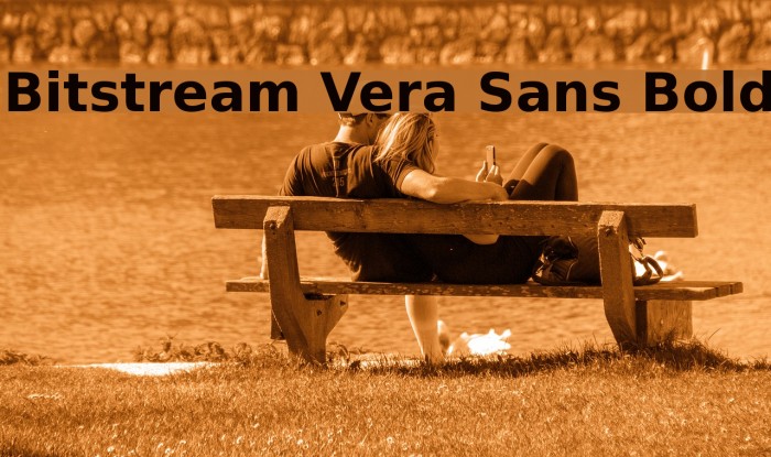 Bitstream Vera Sans Bold Font examples