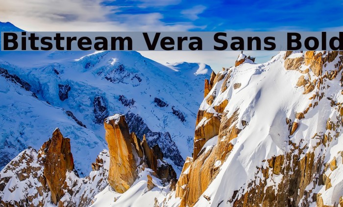 Bitstream Vera Sans Bold Font examples