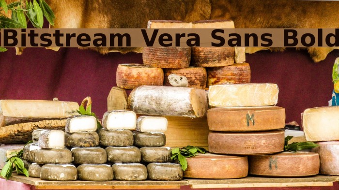 Bitstream Vera Sans Bold Font examples