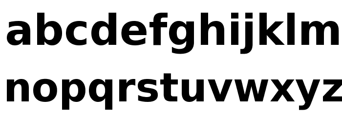 Bitstream Vera Sans Bold Font LOWERCASE