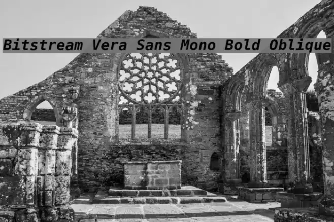 Bitstream Vera Sans Mono Bold Oblique フォント examples