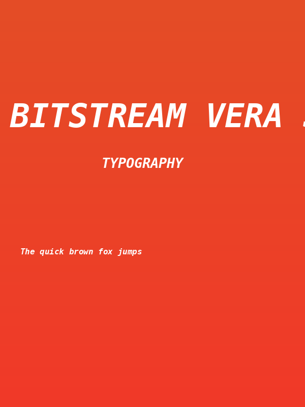 Bitstream Vera Sans Mono Bold Oblique Poster