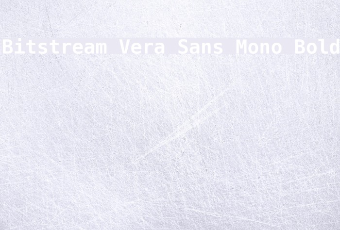 Bitstream Vera Sans Mono Bold Font examples