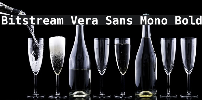 Bitstream Vera Sans Mono Bold Font examples
