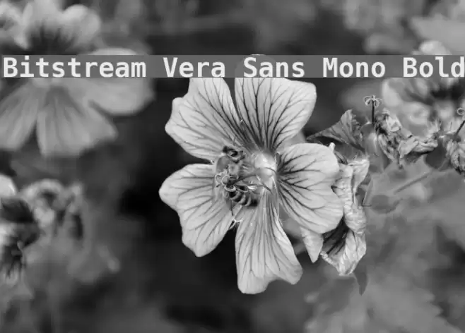 Bitstream Vera Sans Mono Bold خط examples