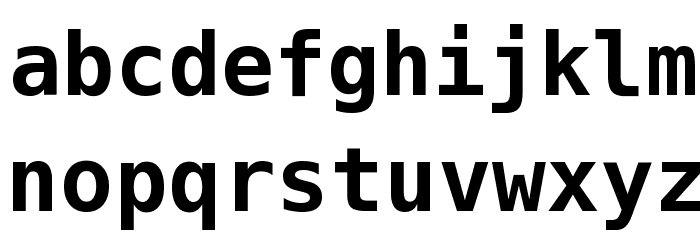 Bitstream Vera Sans Mono Bold Font LOWERCASE