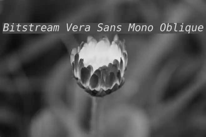 Bitstream Vera Sans Mono Oblique Fonte examples