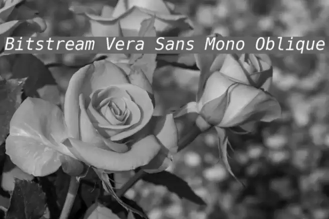 Bitstream Vera Sans Mono Oblique Fonte examples