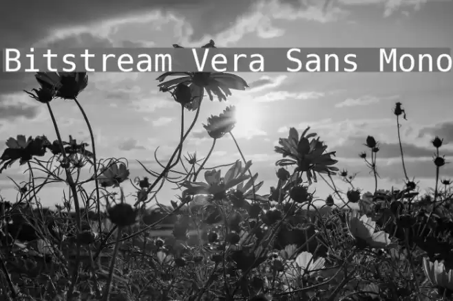 Bitstream Vera Sans Mono خط examples