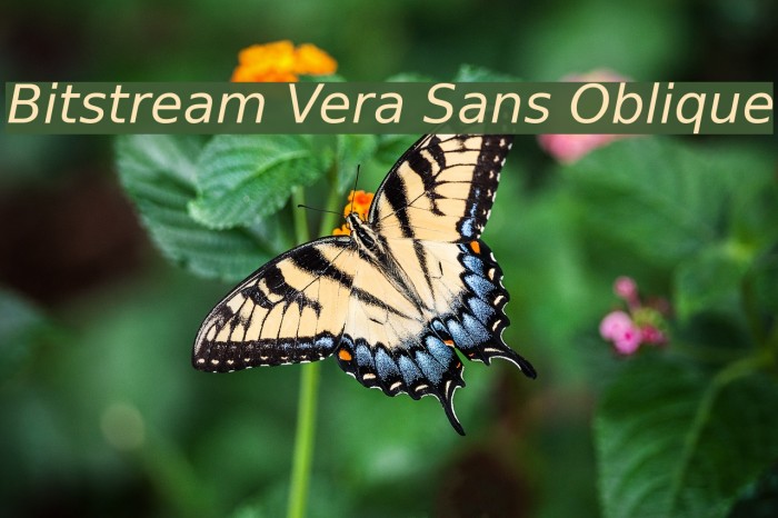 Bitstream Vera Sans Oblique Font examples