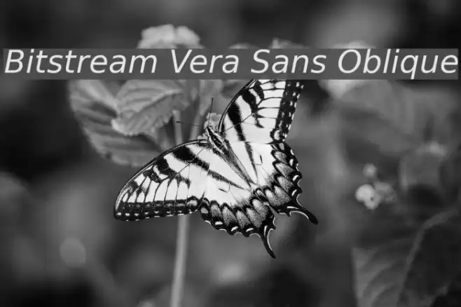Bitstream Vera Sans Oblique フォント examples