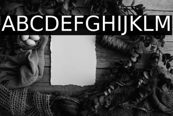 Bitstream Vera Sans フォント examples