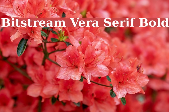 Bitstream Vera Serif Bold Font examples