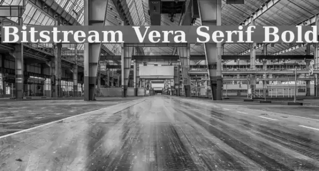 Bitstream Vera Serif Bold Fuentes examples