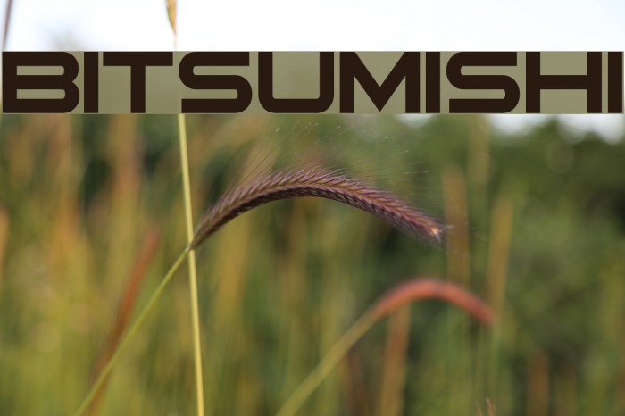 Bitsumishi Font examples