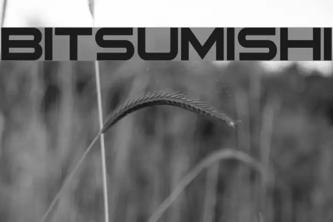 Bitsumishi Schriftart examples