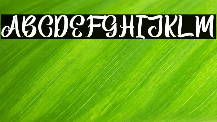 BittenAmorePersonalUse-Script Example 1