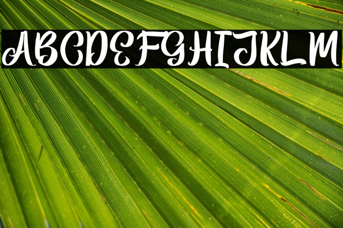 BittenAmorePersonalUse-Script Example 3