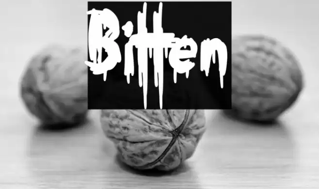 Bitten 字体 examples