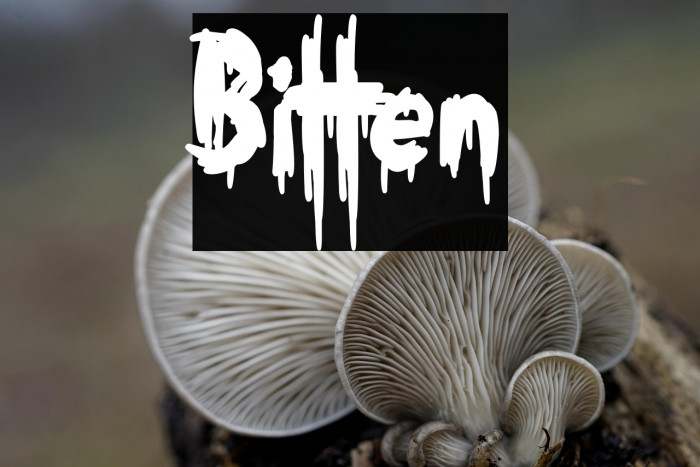 Bitten خط examples