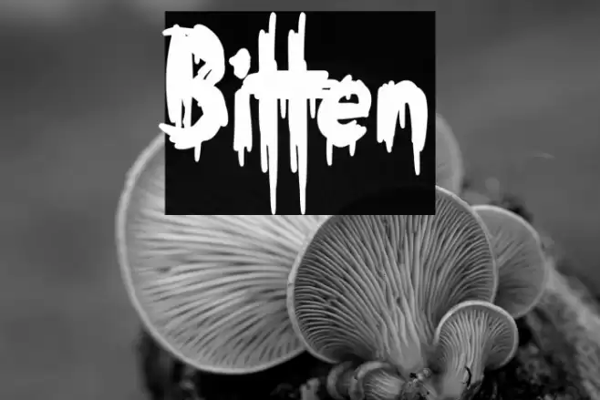 Bitten 字体 examples