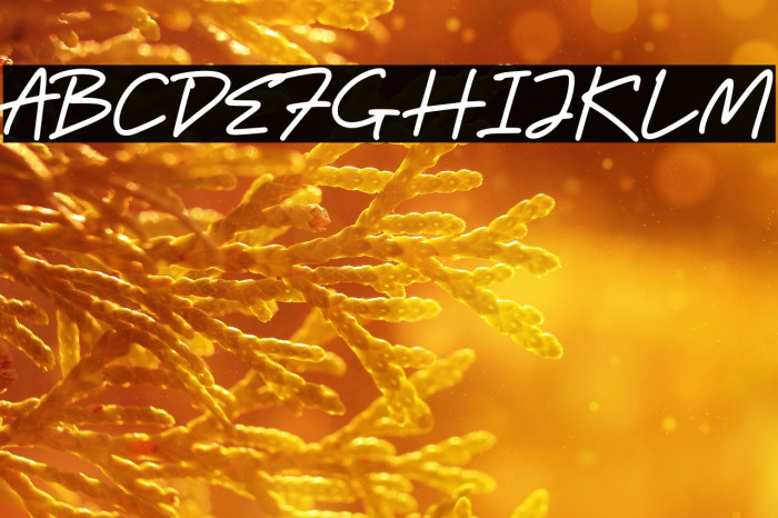 Bitter Ballen Example 3