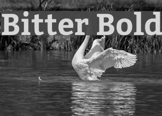 Bitter Bold Font examples
