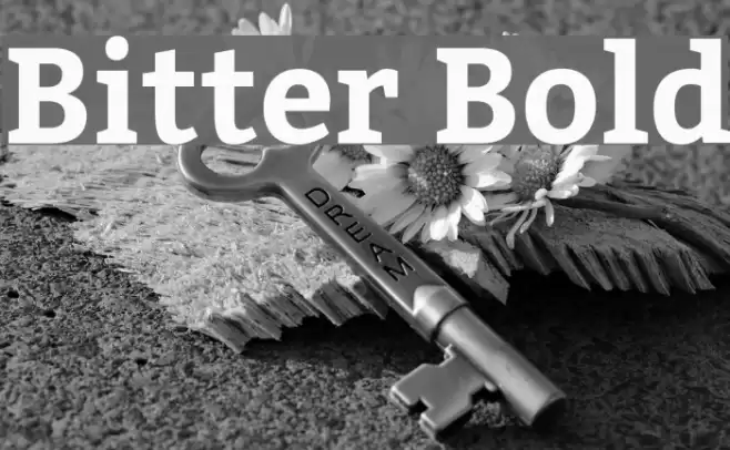 Bitter Bold Font examples