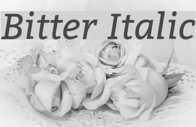 Bitter Italic Font examples