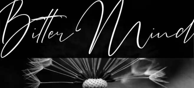 Bitter Mind Font examples
