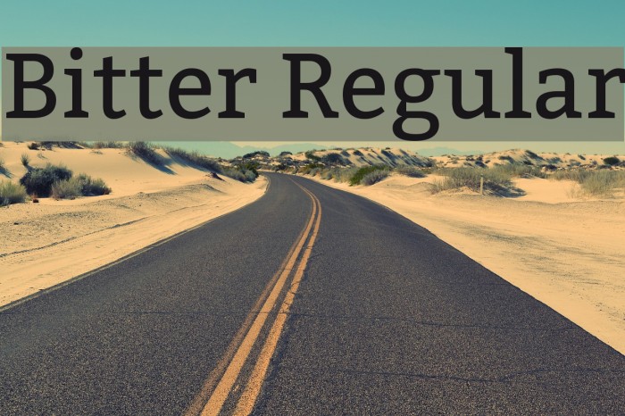 Bitter Regular Font examples