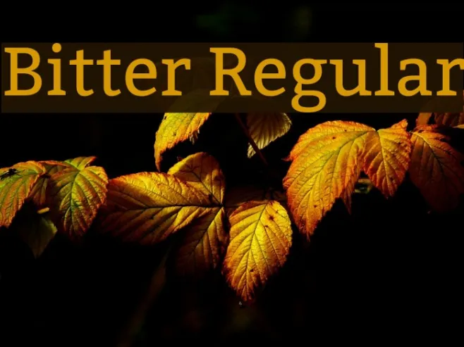 Bitter Regular Example 3
