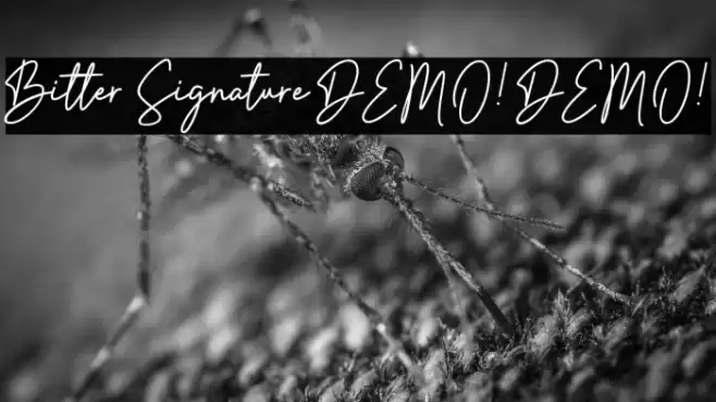 Bitter Signature DEMO! DEMO! خط examples