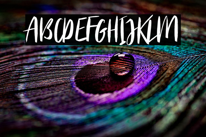 BitterRoseDEMO-Regular Example 3