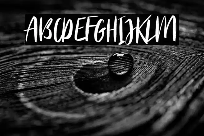 BitterRoseDEMO-Regular Font examples