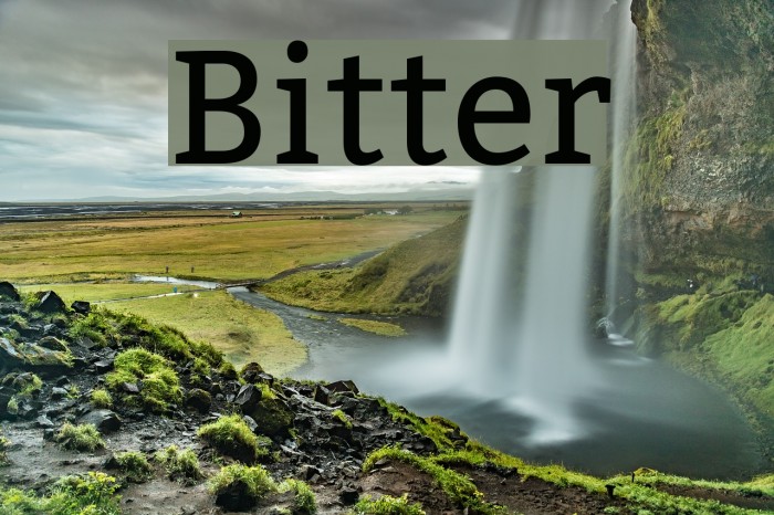 Bitter Font examples
