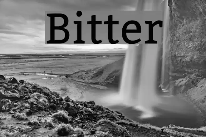 Bitter Font examples