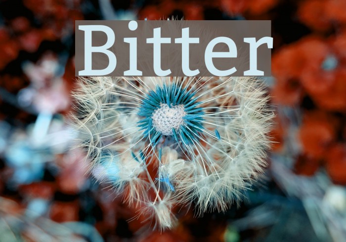 Bitter Font examples