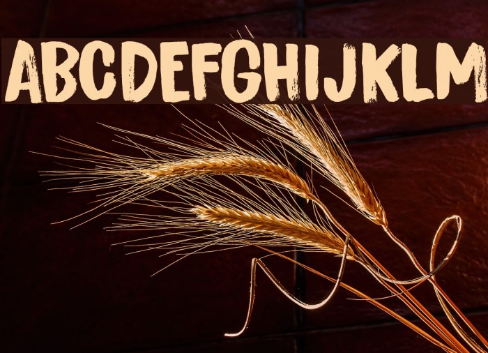 Bitterbrush DEMO Regular Font examples