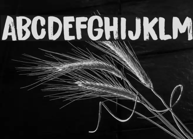 Bitterbrush DEMO Regular Font examples