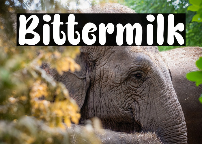 Bittermilk Example 2